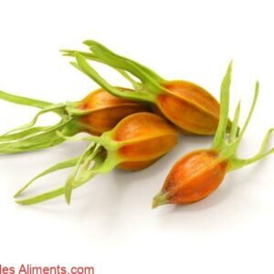 gardénia (fruit)