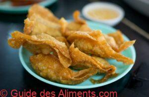 wonton frits