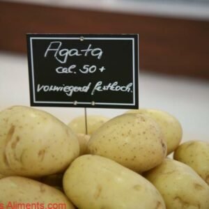 Pomme de terre Agata