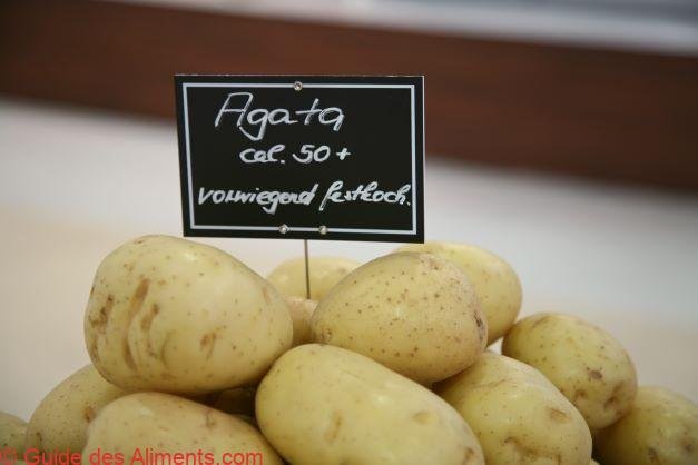 Pomme de terre Agata