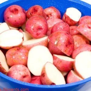 Pomme de terre Early Rose