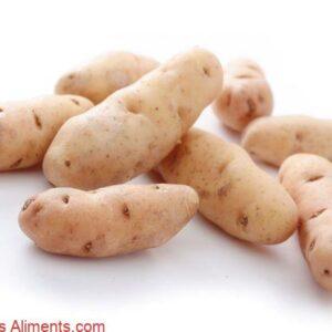 Pomme de terre Pink Fir Apple