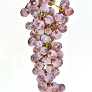Raisins Koshu