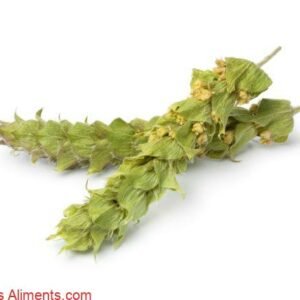 Sideritis hyssopifolia