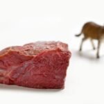 filet de viande d'âne