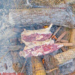 viande de tatou sauvage