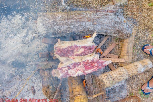 viande de tatou sauvage