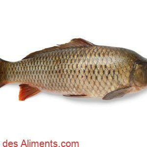 Carpe commune