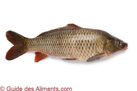 Carpe commune