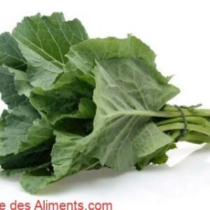 Chou cavalier