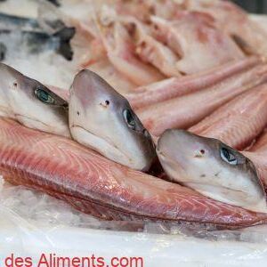 &Eacute;missoles (Mustelus)