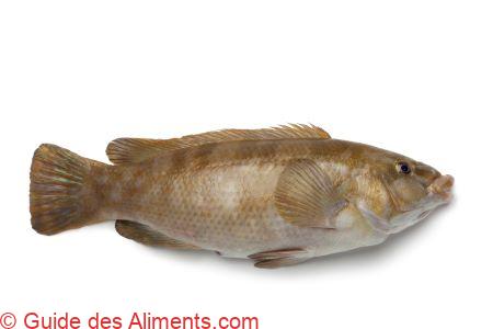 Labre Sild Merle ou Labre merle - Guide des Aliments