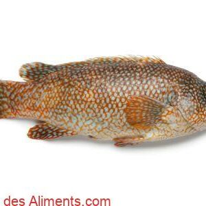 M&eacute;rou n&egrave;gre