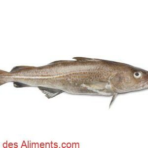 Morue de l'Atlantique