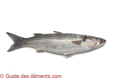 Mulet cabot