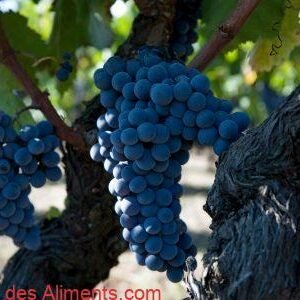 Nerello Mascalese