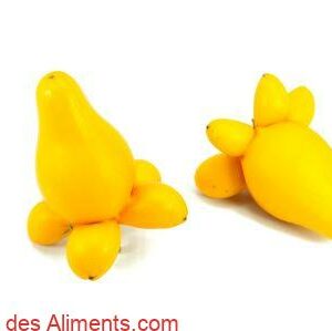 T&eacute;ton de V&eacute;nus