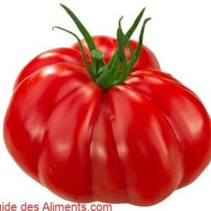 Tomate Beauty Lottringa