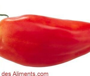 Tomate Jersey Devil