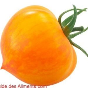 Tomate Kozula137