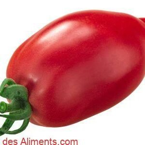 Tomate Plumelike