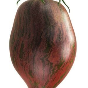 Tomate Rebel Starfighter Prime