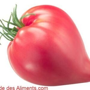 Tomate Sterling Old Norway