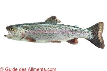 Truite arc-en-ciel