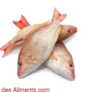 vivaneau &agrave; queue rouge