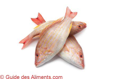 vivaneau à queue rouge