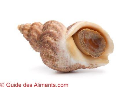 bulot