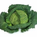 chou de Milan