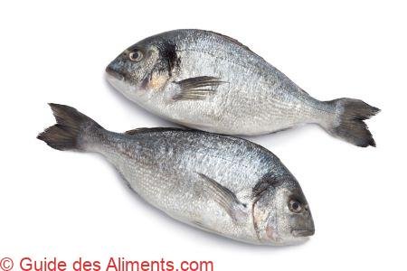dorade royale
