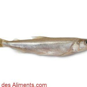 &eacute;perlan d'Europe