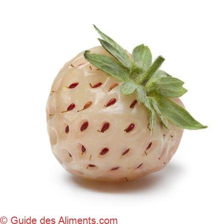 fraise blanche