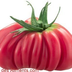 Tomate Tlacolula