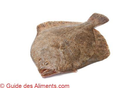 turbot