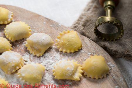 Anolini