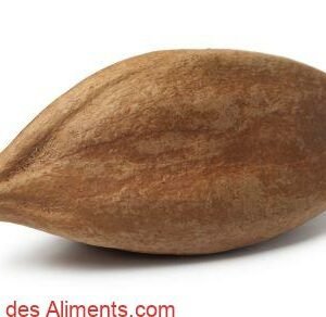 Canarium ovatum
