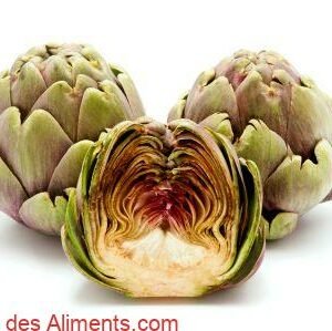 Carciofo romanesco del Lazio