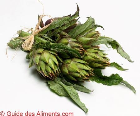 Carciofo spinoso di Sardegna Dop