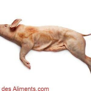 Cochon de lait