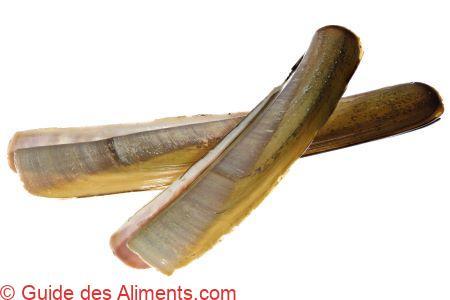 Ensis leei