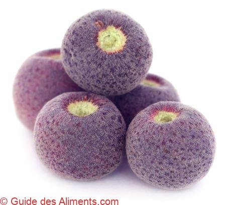 Grewia asiatica