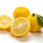 Hana yuzu (fleur de yuzu)