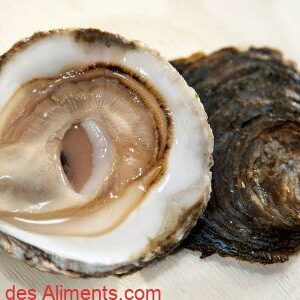 Hu&icirc;tre plate de Belon