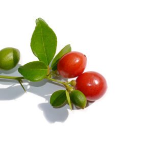 Limeberry