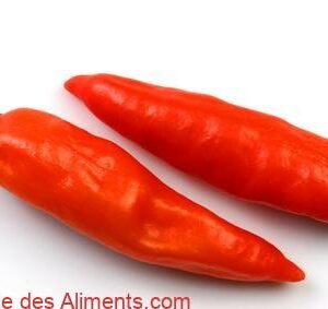 Piment Panama