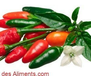 Piment Pequin