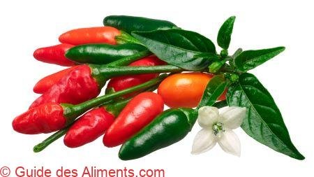 Piment Pequin